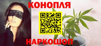 крисы Кунгур
