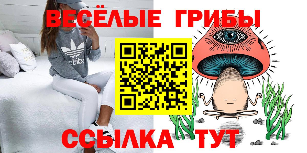 Галлюциногенные грибы Psilocybine cubensis Избербаш