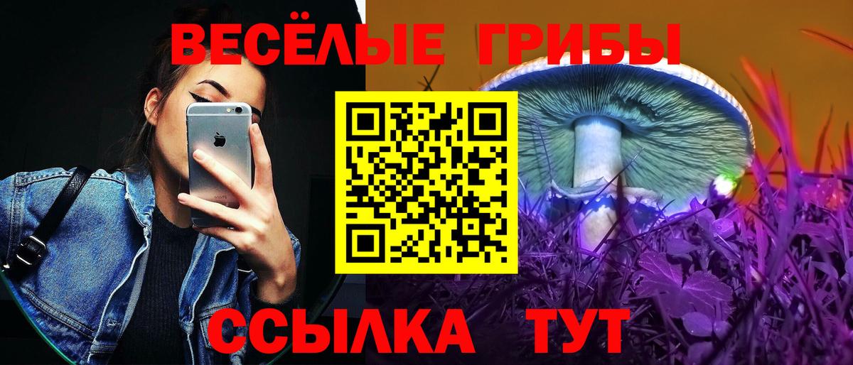 Избербаш  Галлюциногенные грибы Cubensis  Вход с VPN  Галлюциногенные грибы Psilocybe 